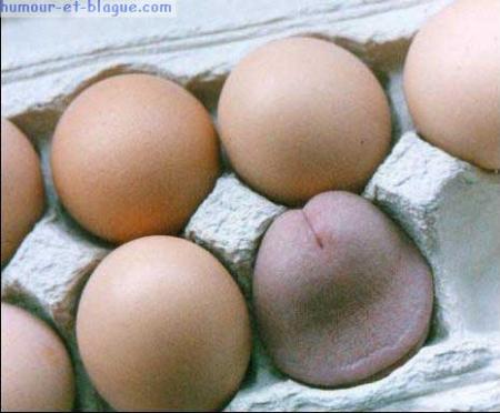 boite a oeuf